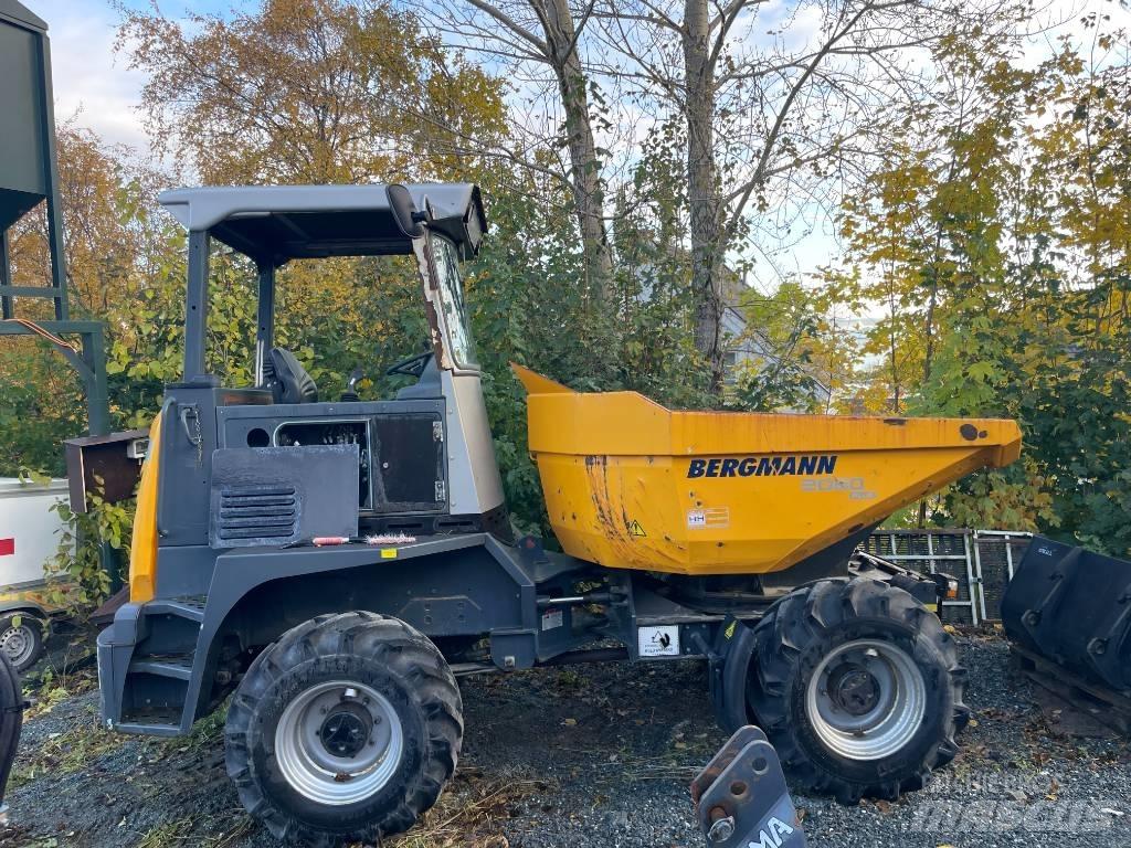 Bergmann 2060RPLUS 鉸接式起吊車