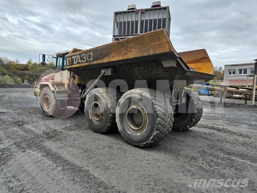 Terex TA 30 鉸接式起吊車