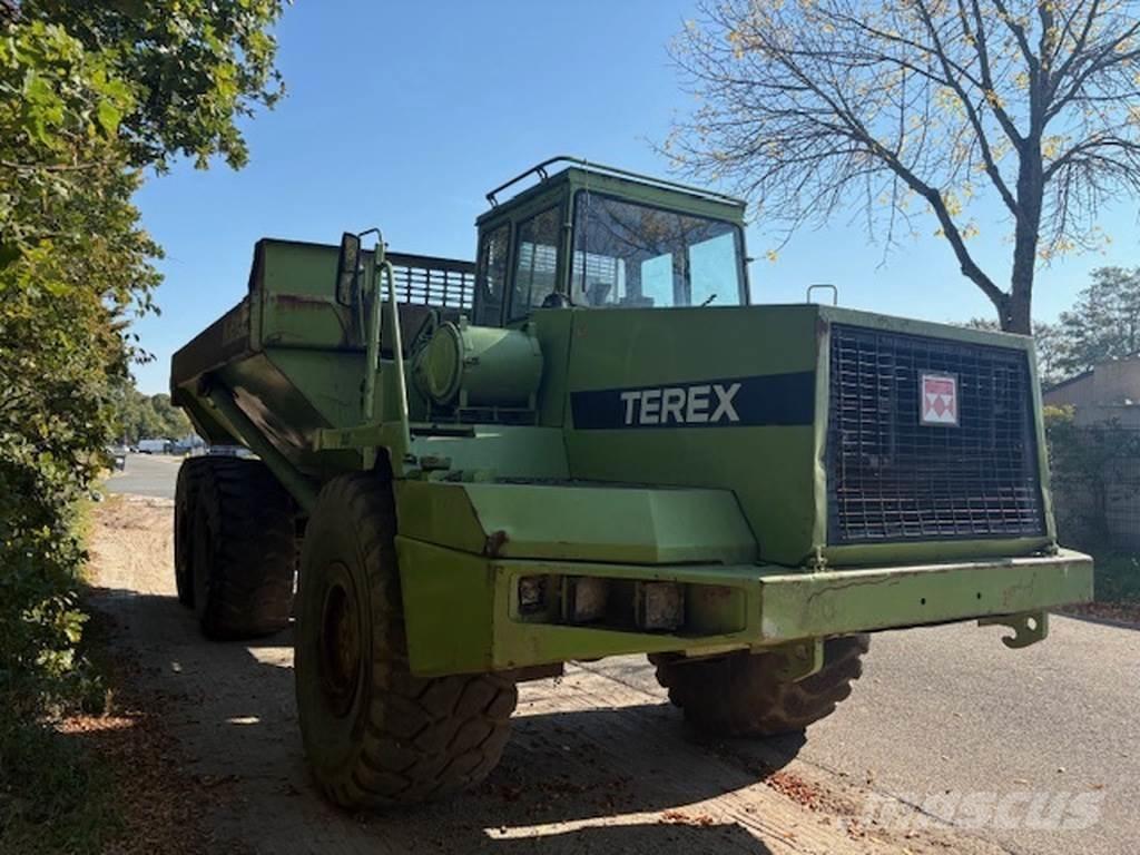 Terex 4066c 鉸接式起吊車