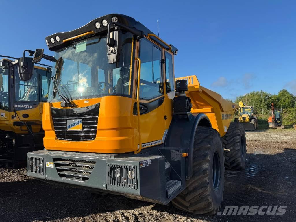Bergmann C815s 鉸接式起吊車