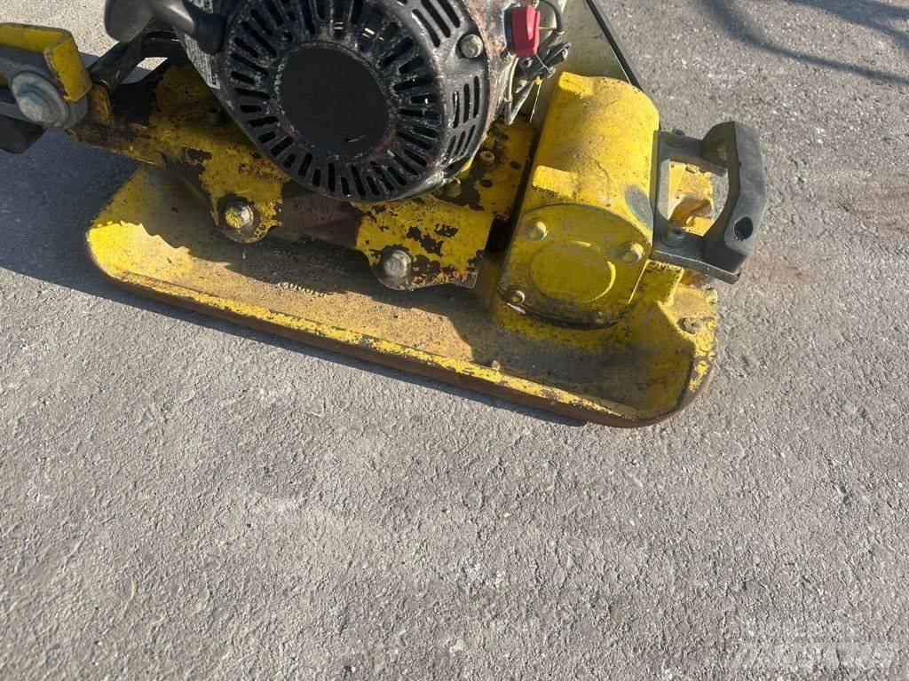 Wacker Neuson VP1135 夯實機(夯土機)