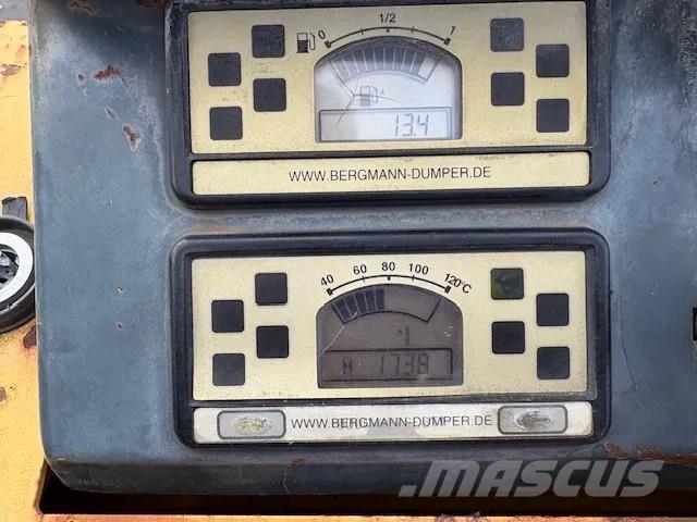 Bergmann 2050 側卸礦車