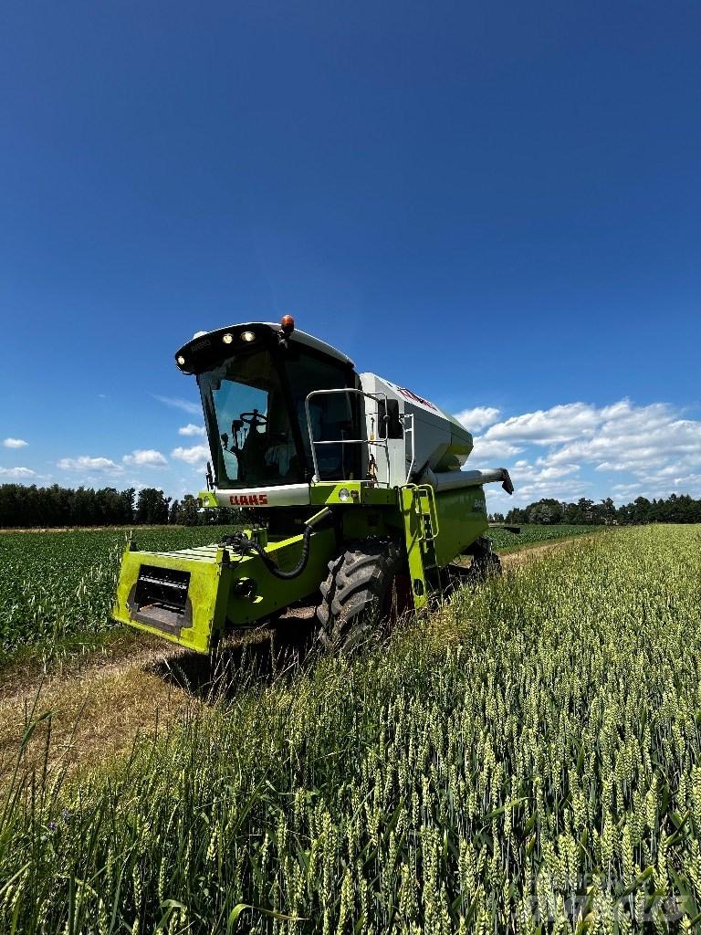 CLAAS Avero 240 聯合收穫機