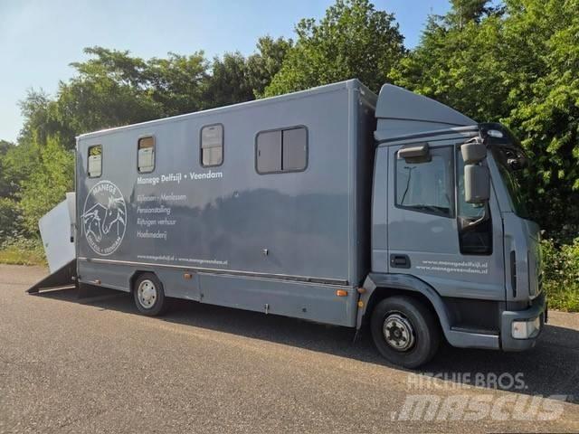 Iveco E 75 動物運輸貨卡車