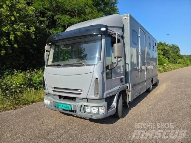Iveco E 75 動物運輸貨卡車