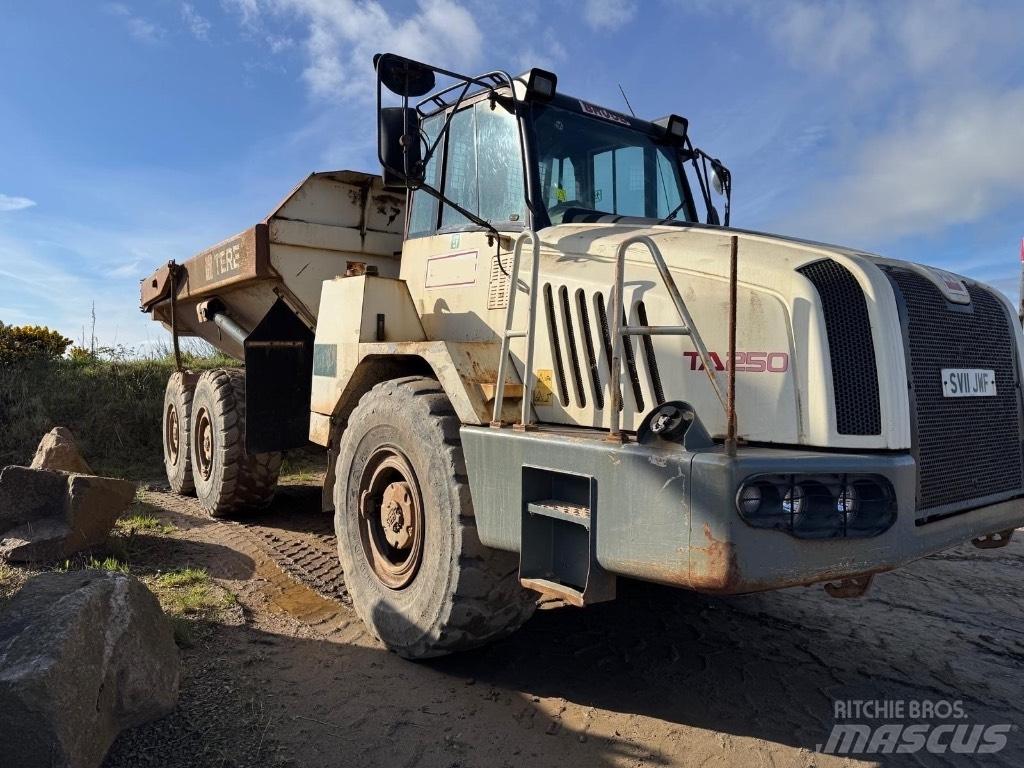 Terex TA 250 鉸接式起吊車
