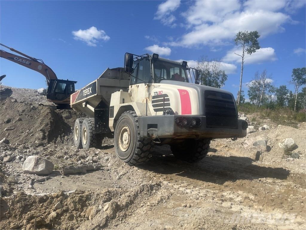 Terex TA 30 鉸接式起吊車