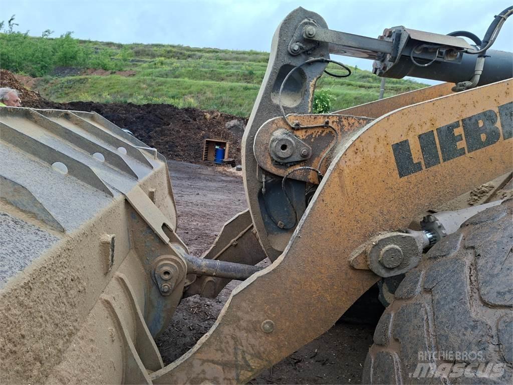 Liebherr L566 4X4 其他