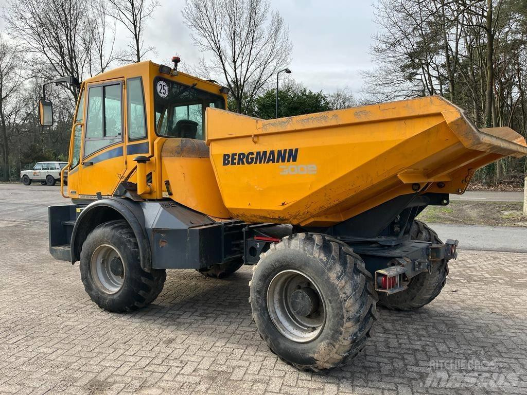 Bergmann 3009 R 鉸接式起吊車