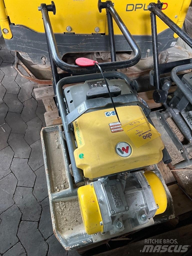Wacker El AP2560E 夯實機(夯土機)