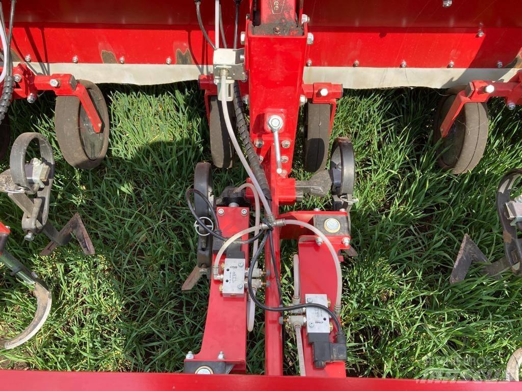 Steketee IC Weeder 行栽作物中耕機