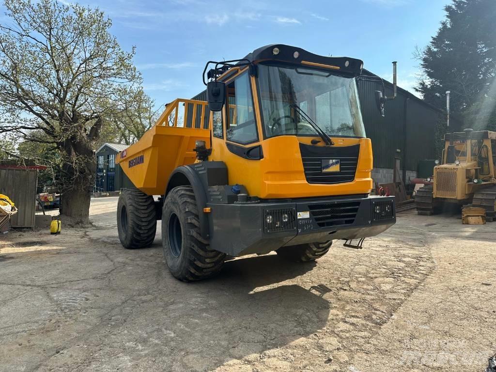 Bergmann C815S 鉸接式起吊車