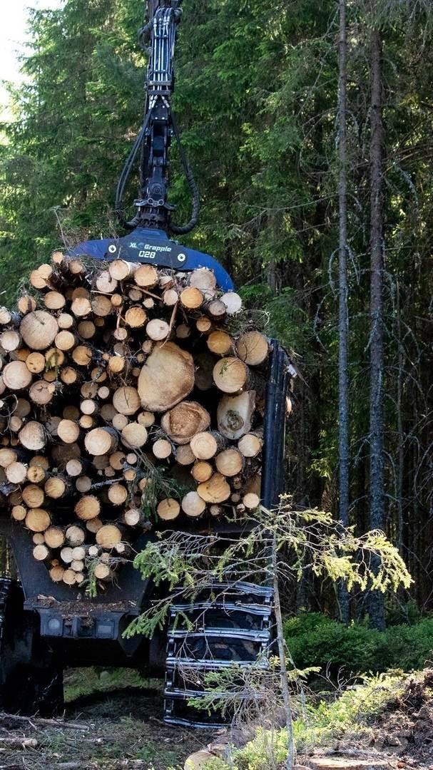  XL Grapple 028 STD 兩爪吊夾