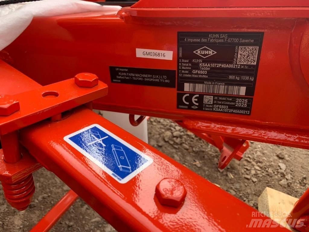 Kuhn GF6503 TEDDER 耙與翻草機