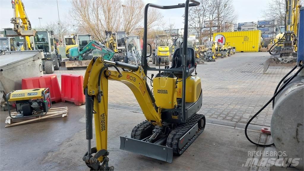 Wacker Neuson 803 履帶式 挖土機/掘鑿機/挖掘機
