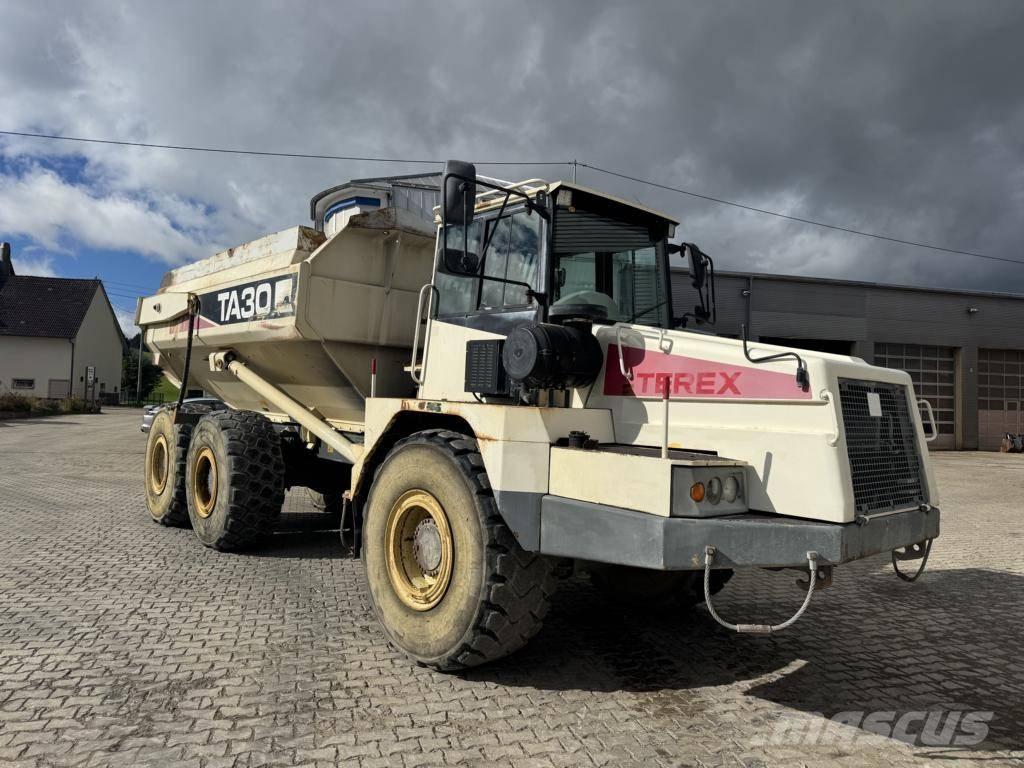 Terex TA 30 鉸接式起吊車