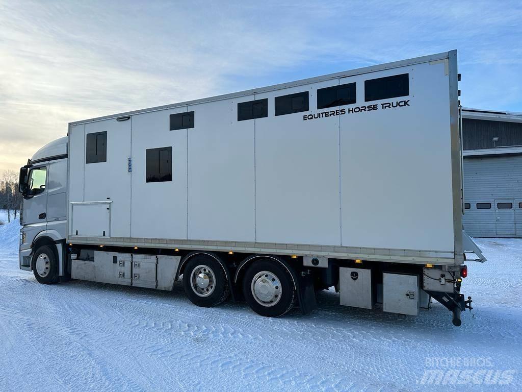 Mercedes-Benz Actros 動物運輸貨卡車