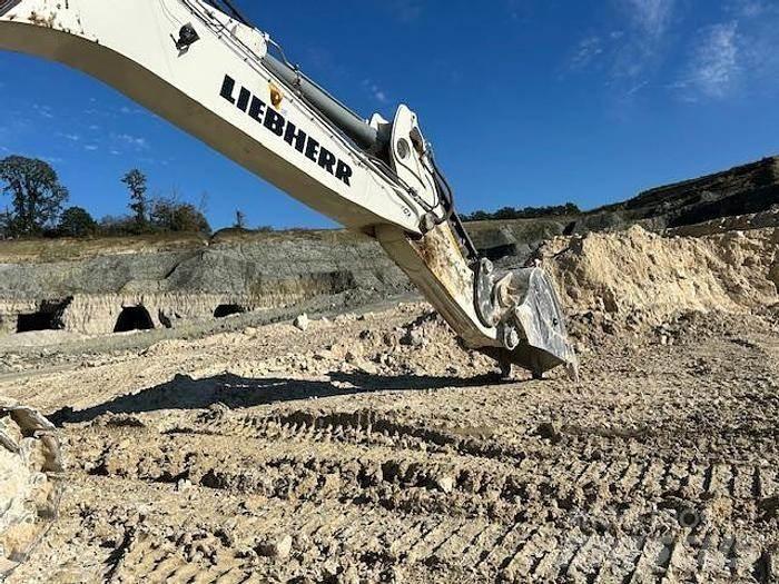 Liebherr R9100 特殊挖土機/掘鑿機/挖掘機