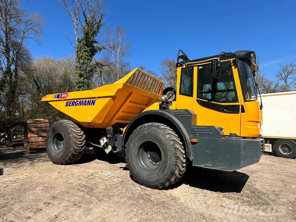 Bergmann C815S 鉸接式起吊車