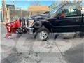 Ford F 350 平板式/側卸式卡車