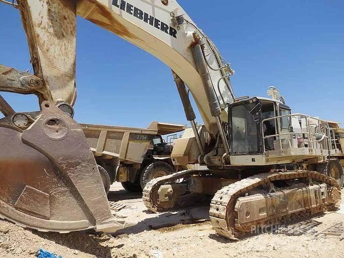 Liebherr R9150 特殊挖土機/掘鑿機/挖掘機