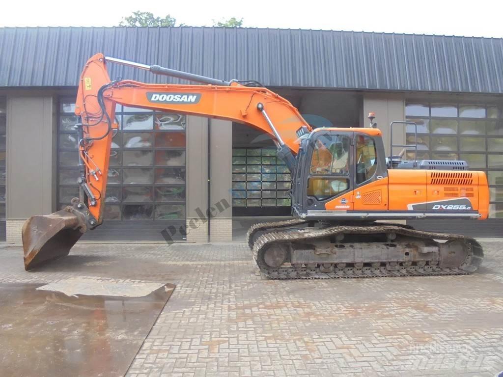 Doosan DX 255 LC-5 履帶式 挖土機/掘鑿機/挖掘機