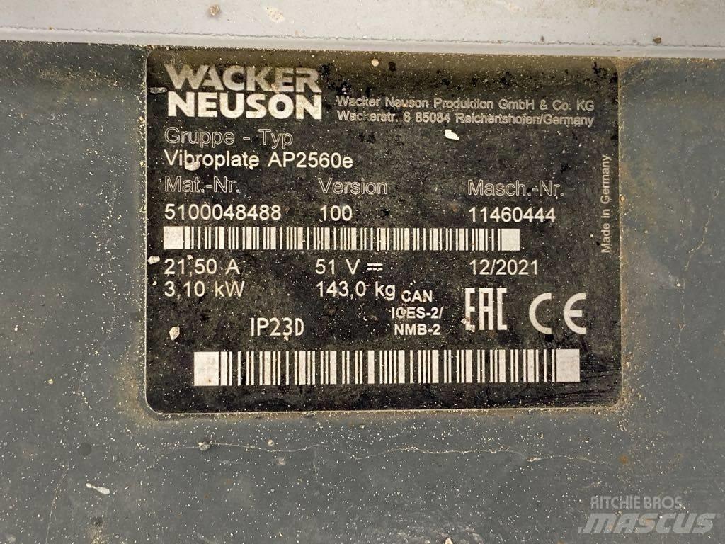 Wacker Neuson AP2560 夯實機(夯土機)