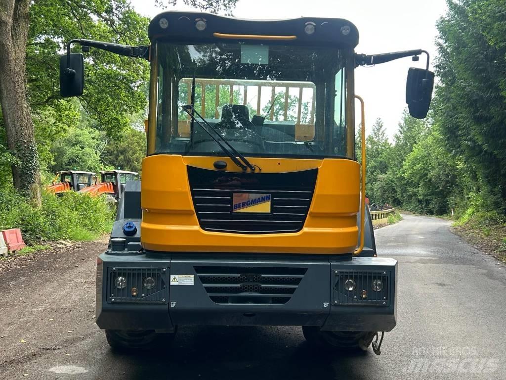 Bergmann C815S 鉸接式起吊車
