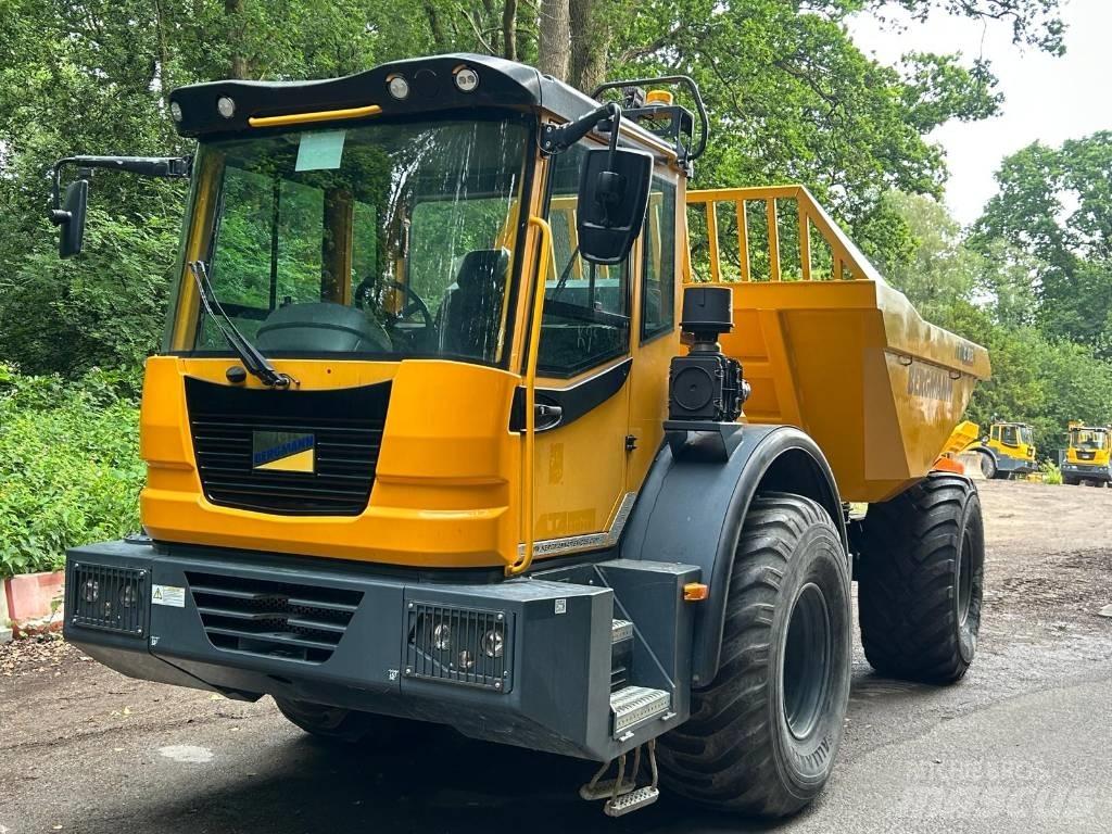 Bergmann C815S 鉸接式起吊車