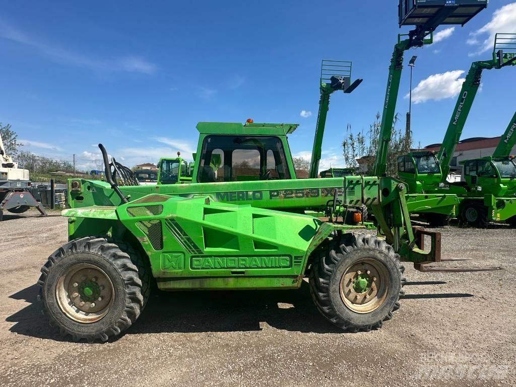 Merlo P 25.9 伸縮臂操作車