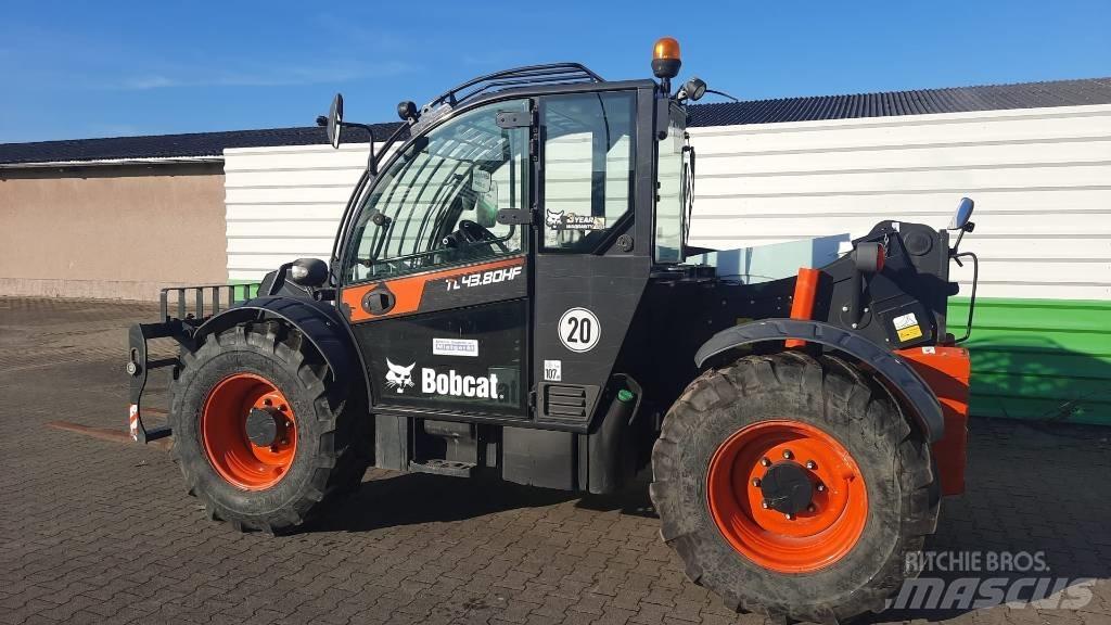 Bobcat TL 43.80 HF 伸縮臂操作車