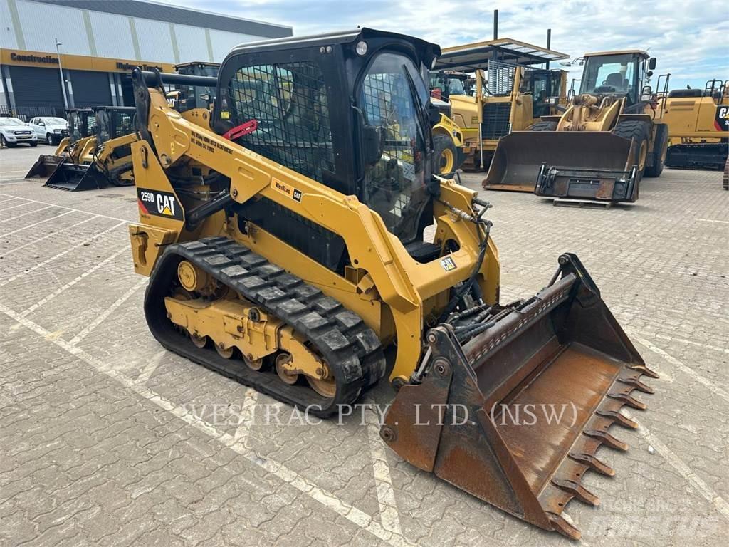 CAT 259D 推土機