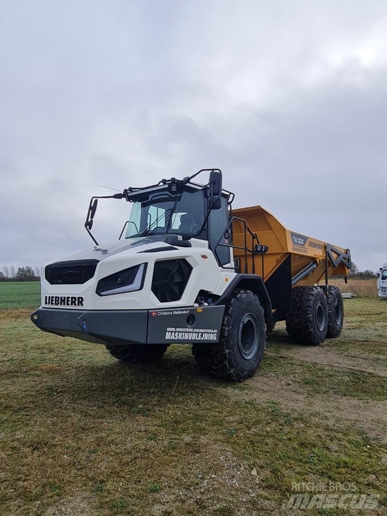 Liebherr TA 230 鉸接式起吊車