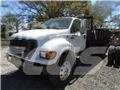 Ford F 650 平板式/側卸式卡車