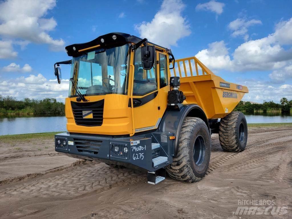 Bergmann C815S 鉸接式起吊車