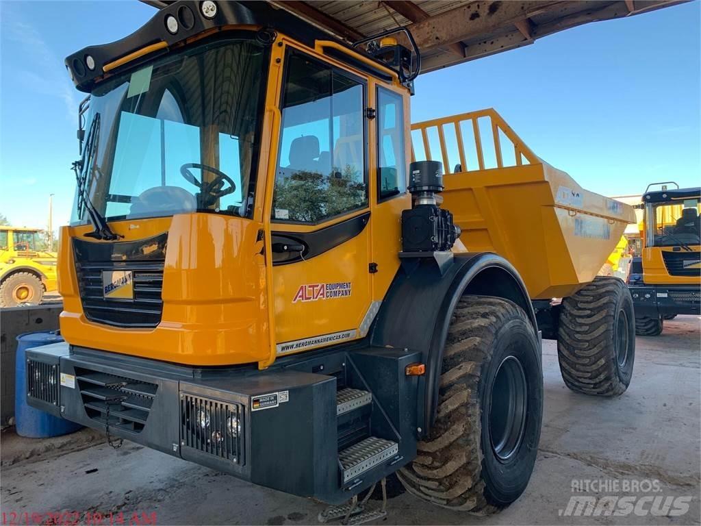 Bergmann C815S 水車