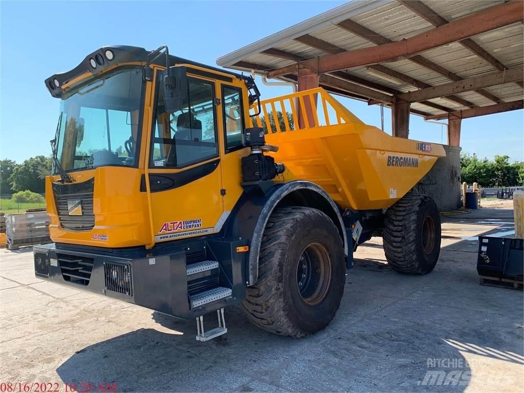 Bergmann C815S 水車