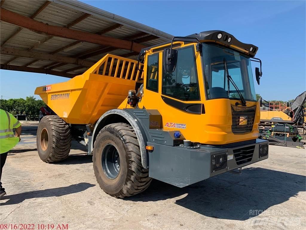 Bergmann C815S 水車