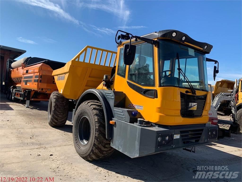 Bergmann C815S 水車