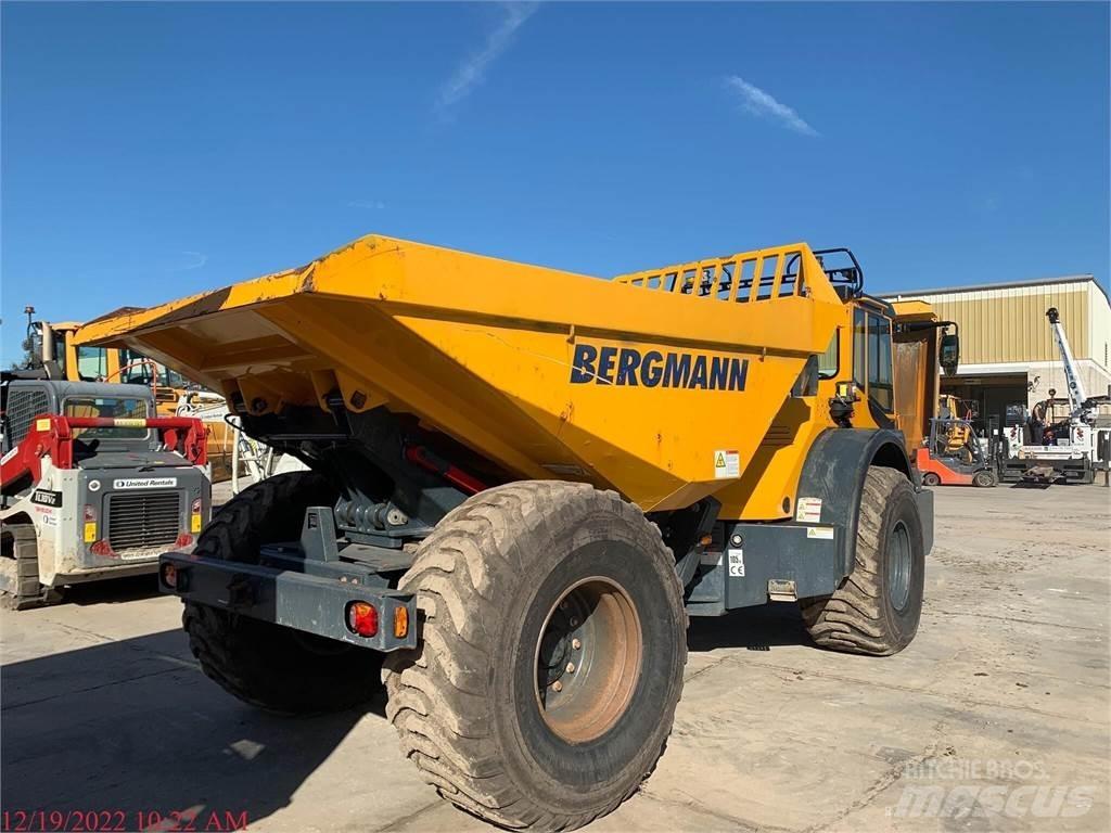 Bergmann C815S 水車