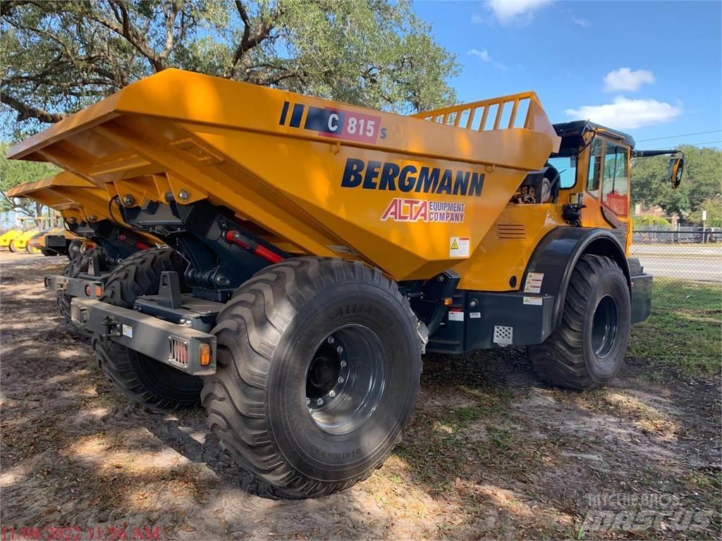 Bergmann C815S 水車