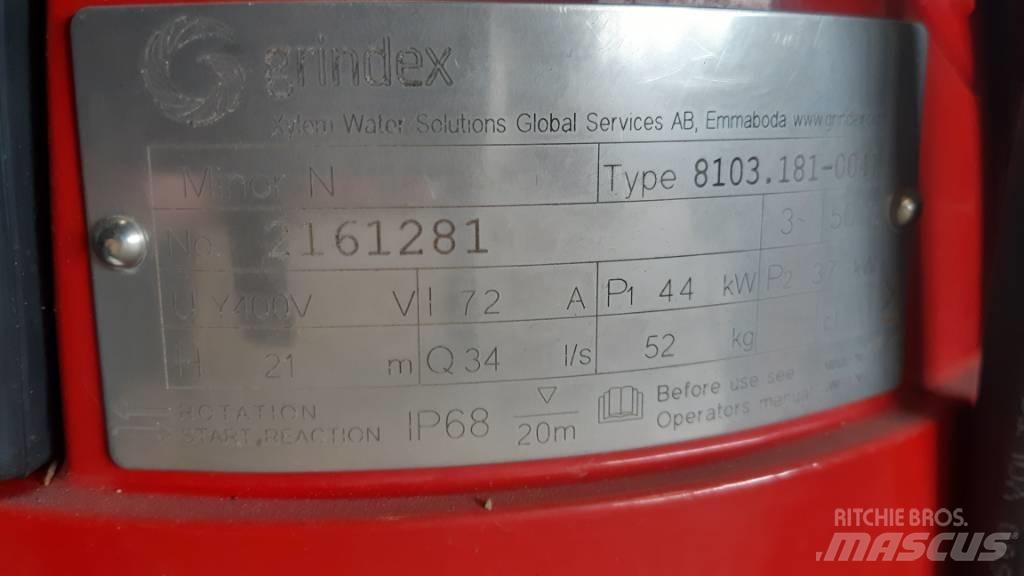  Grindex  Minor N 其他