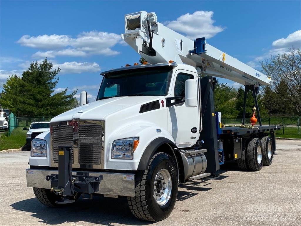 Manitex 30102 C 起重機卡車