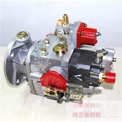 Cummins 4951451-20 引擎/發動機