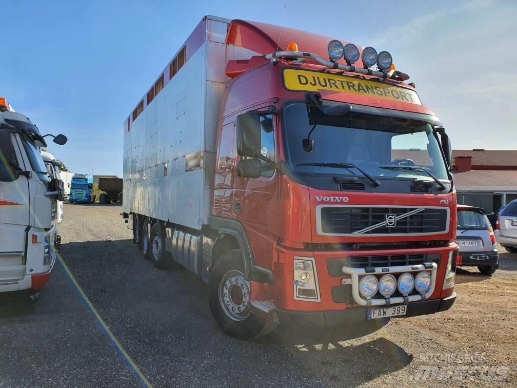 Volvo FM12 動物運輸貨卡車
