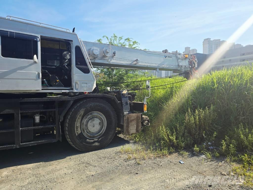 Tadano TR 250 M-5 越野起重機