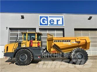 Bergmann 5025 鉸接式起吊車