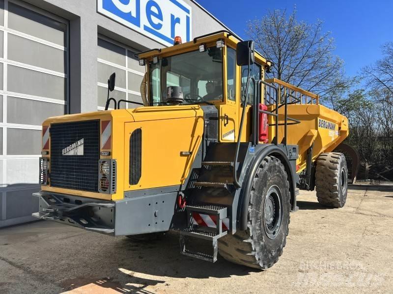 Bergmann 5025 鉸接式起吊車