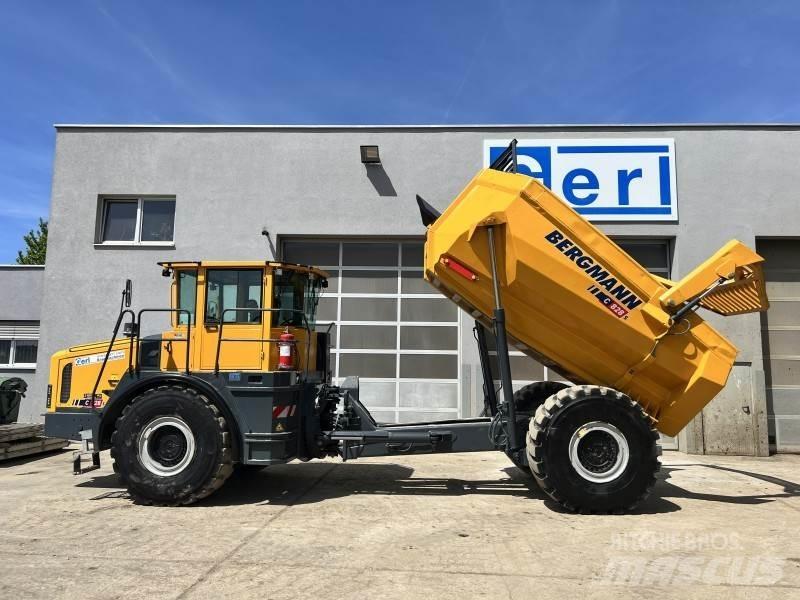 Bergmann 5025 HK / C828s 鉸接式起吊車