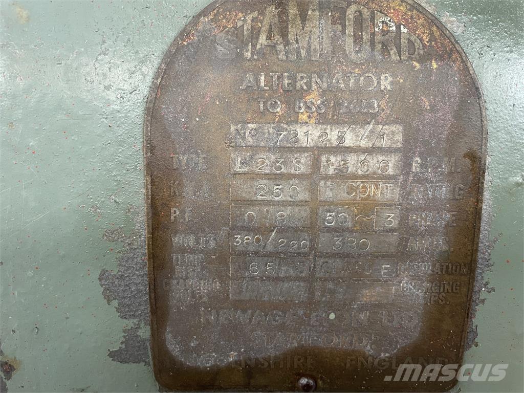  250 kva Stamford generator 其他發電機
